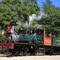 Roaring Camp Steam Train, Felton, California