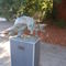 Sacrificial Lamb - a memorial to Cowell students killed in Vietnam