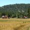 Sattley Ranch