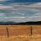 Clouds and Barbwire
