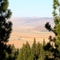 Highway 49; Sierra Valley view 3