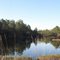 Jr. Walton pond
