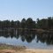 Duck Pond