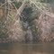Waterfall Flowing into Yellow River