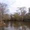 Yellow River, looking up stream, Milligan Fla (12-26-2011)