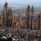 Angorra Fire Aftermath