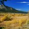 Taylor Creek Meadow