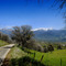 Moses Mountain and Yokohl Valley Road