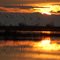 Gustine Sunrise and Bird in Flight