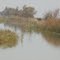 Mud Slough