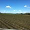 Central Valley California