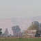 Old Barn in Stevinson