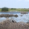 Stevinson Wildlife Reserve