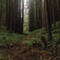 Sea Ranch