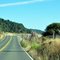 Shoreline Hwy 1