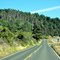 Shoreline Hwy 1