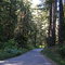 California Road