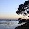 Stewarts Point Sunset