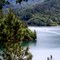 #99 Lake Shasta, California
