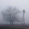foggy morning