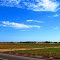 Tracy Pumpkin Field