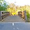 Aliso Creek Riding And Hiking Trail 11