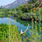 Putah Creek