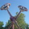 Hughson Fruit and Nut Festival 2007
