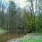 Pine River in Spring