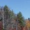 Autumn on I-69