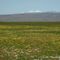 Mt Lassen from vina plains