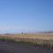 Grassy Plains 2