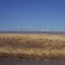Grassy Plains 3