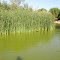 Hesperia Lake Park
