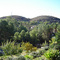 Shadow Hills