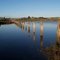 Flooded Fence