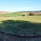 Palm Trees, Farm Field and Vinyards