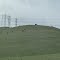 Near Westley, CA:  Spring Grazing, 2012