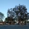 I-5 Rest Area, CA