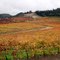 Amador County, California