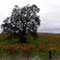 Fall Day