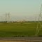 Rice Fields in Sutter County