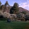 On the grounds of Rancho La Puerta