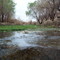 nacimiento del rio