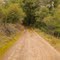 Trail to Corte Madera