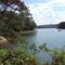 The beautiful Lake Lanier seen from West Bank Park