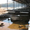 L dock during 2007 drought