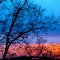 Stained Glass Skies
