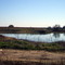 The Pond
