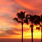 La Jolla sunset